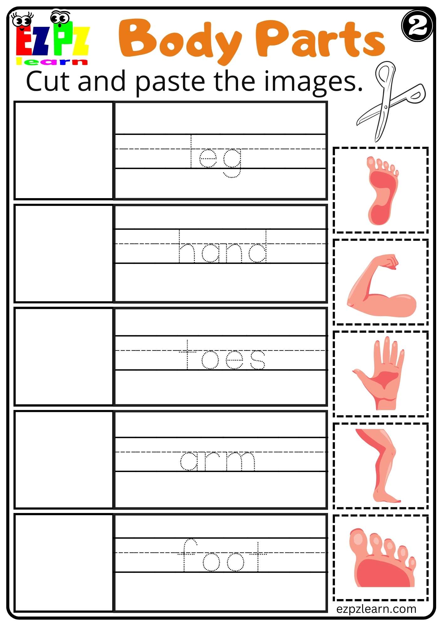 Body Parts Cut and Paste Worksheets for Kids and ESL PDF Download set 2